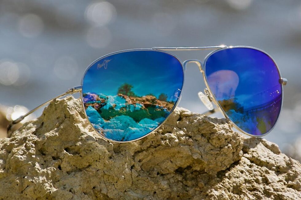 Vision Products Safety Harbor Optical